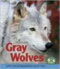 Gray Wolves