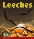 Leeches (Early Bird Nature Books Series)