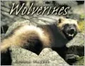 Wolverines