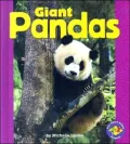 Giant Pandas