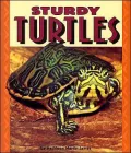 Sturdy Turtles