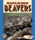 Building Beavers
