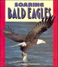 Soaring Bald Eagles