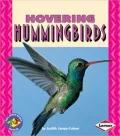 Hovering Hummingbirds