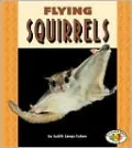 Flying Squirrels