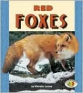 Red Foxes (Pull Ahead Books Series)
