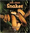 Snakes