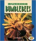 Buzzing Bumblebees