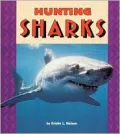 Hunting Sharks (Pull Ahead Books Series)