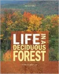 Life in a Deciduous Forest