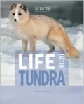 Life in the Tundra