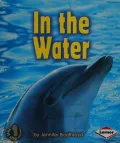 In the Water