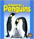 Emperor Penguins