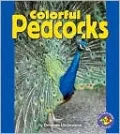 Colorful Peacocks
