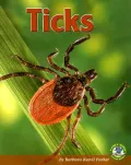 Ticks