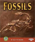 Fossils