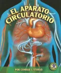 El Aparato Circulatorio/ The Circulatory System