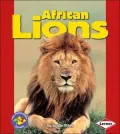African Lions
