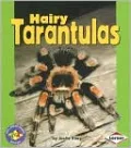 Hairy Tarantulas