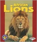 African Lions