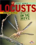 Locusts: Insects on the Move