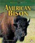 American Bison