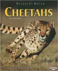 Cheetahs
