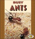 Busy Ants
