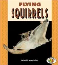 Flying Squirrels