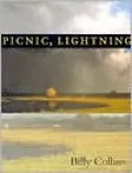 Picnic, Lightning