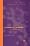 Phenomenology Wide Open