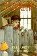 The Castle in the Attic