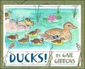 Ducks!