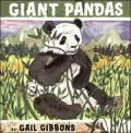Giant Pandas
