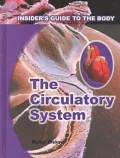 The Circulatory System