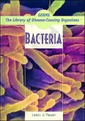 Bacteria