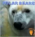 Polar Bears