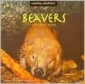 Beavers and Their Homes