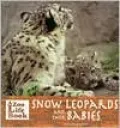 Mother Snow Leopards and Their Babies