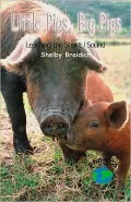Little Pigs, Big Pigs: Learning the Short I Sound