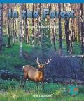 In the Forest: Learning Directional Concepts