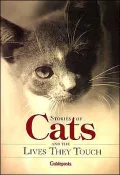 Stories of Cats and the Lives They Touch