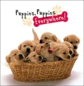 Puppies, Puppies Everywhere!
