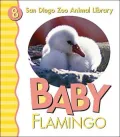 Baby Flamingo (San Diego Zoo Animal Library Series), Vol. 8