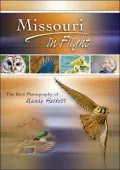 Missouri in Flight: The Bird Photography of Mundy Hackett