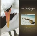 Galápagos: Exploring Darwin's Tapestry