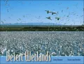Desert Wetlands