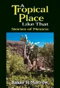 Tropical Place Like That : Stories of Mexico