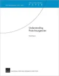 Understanding Proto-Insurgencies: RAND Counterinsurgency StudyÑPaper 3