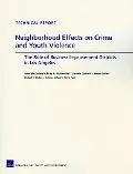 Neigborhood Effects on Crime and Youth Violence: The Role of Business Improvement Districts ...